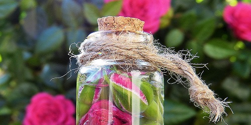 BIO und Natur Banner